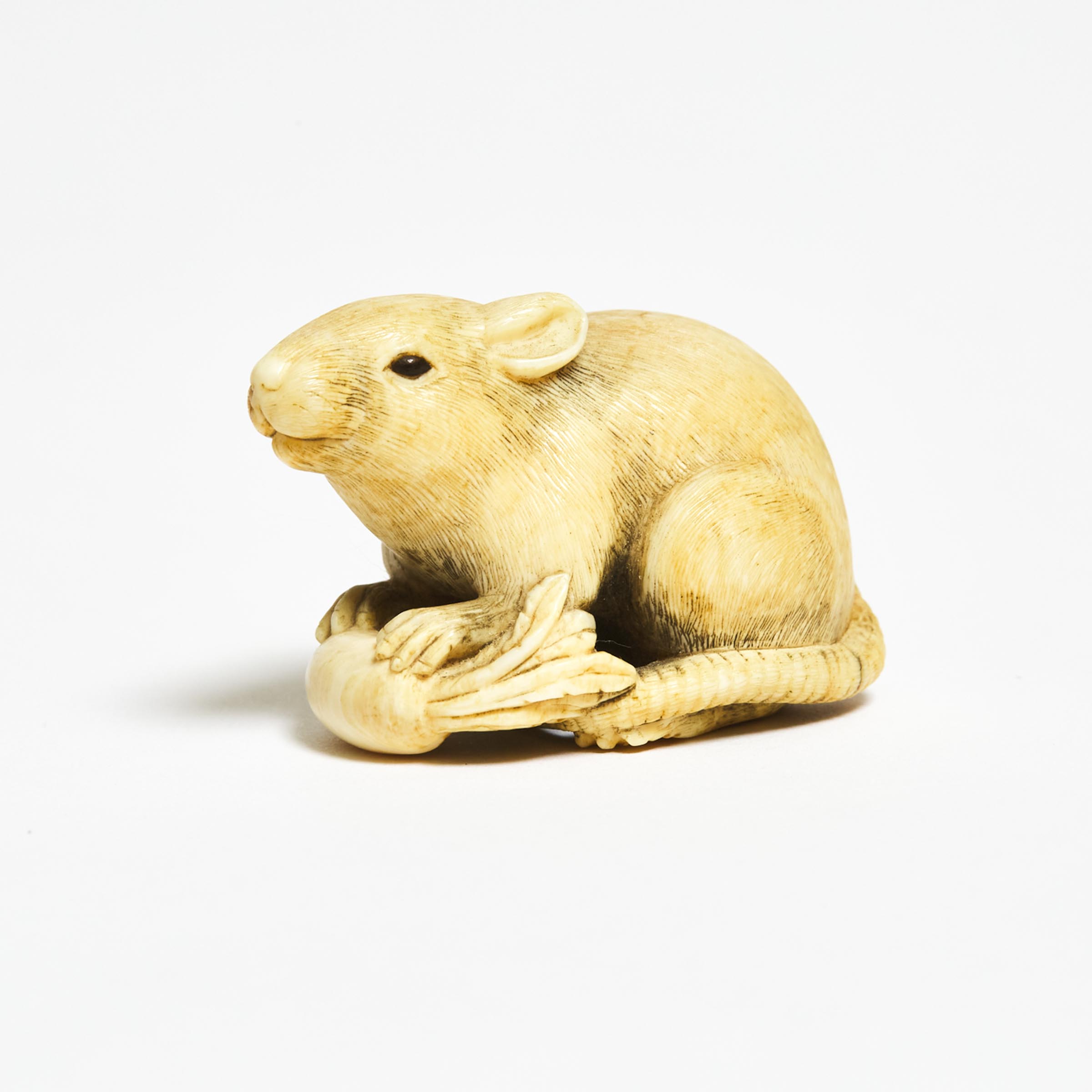 A Fine Ivory Netsuke of a Rat and