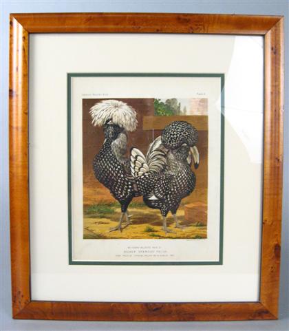 Four stone lithographs of chickens 4b835
