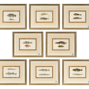 A Set of Eight Hand Colored Fish 2f5d08