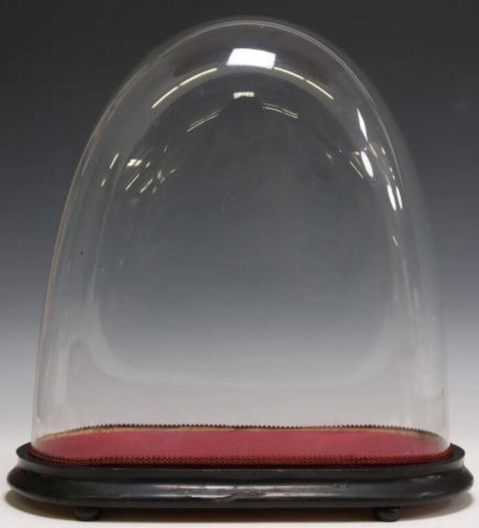 GLASS CLOCHE DOME ON EBONIZED BASEGlass