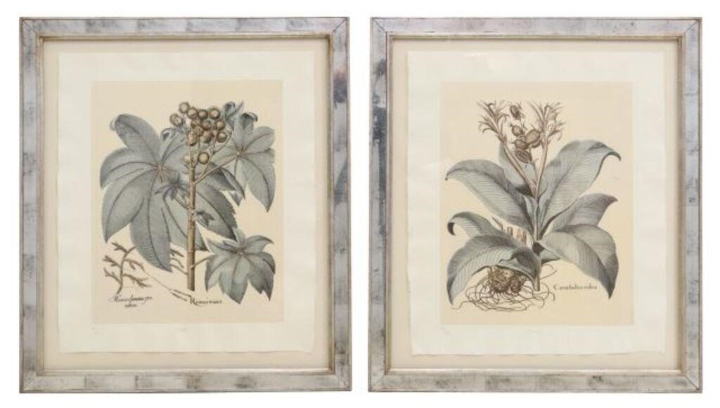  2 FRAMED TROWBRIDGE GALLERY BOTANICAL 2f656a