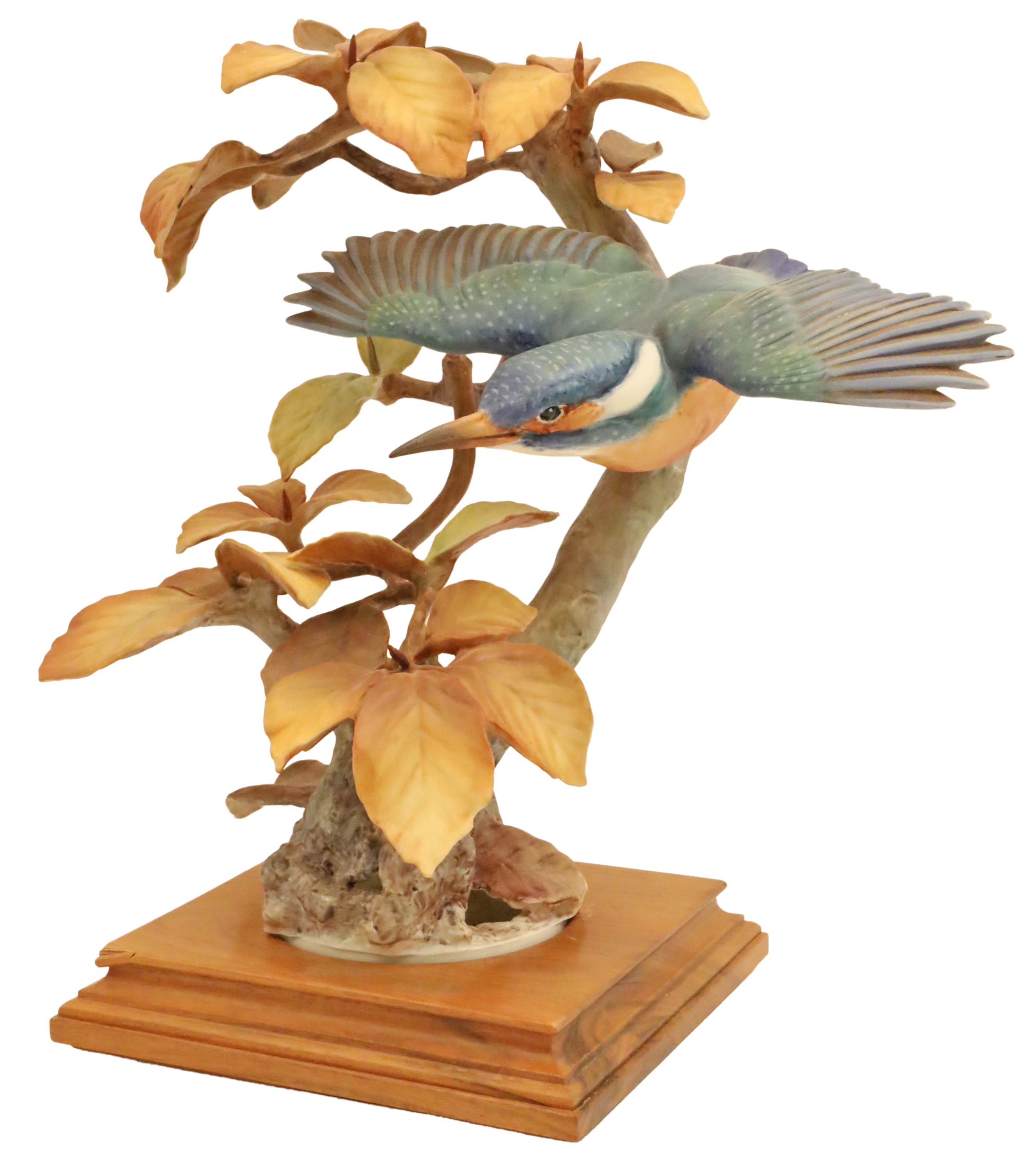 KINGFISHER BY DOROTHY DOUGHTY Porcelain 2f8ed1