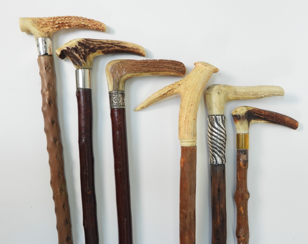 6PC ANTLER & BRIAR WOOD WALKING