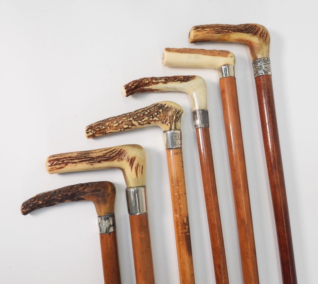 6PC MALACCA ANTLER CANES WALKING 2f9361