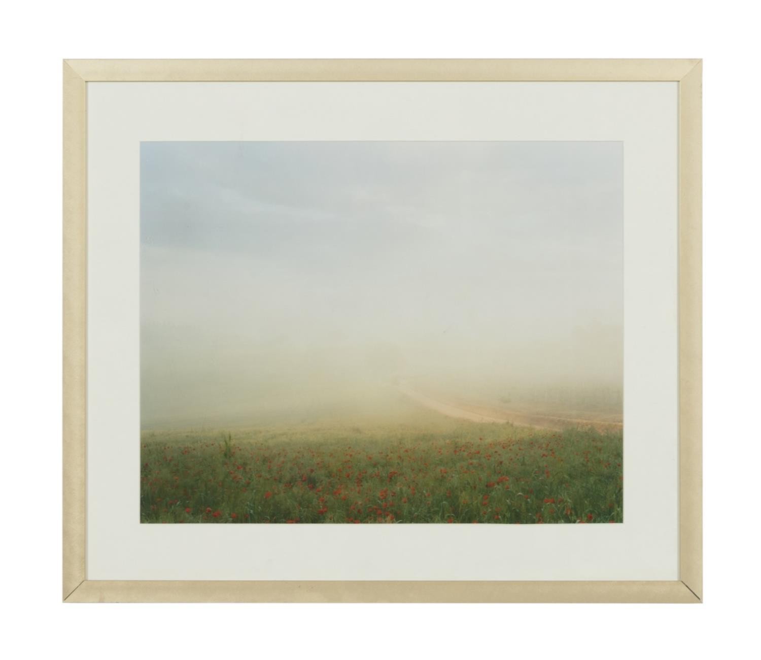 JOEL MEYEROWITZ, DIGITAL PRINT