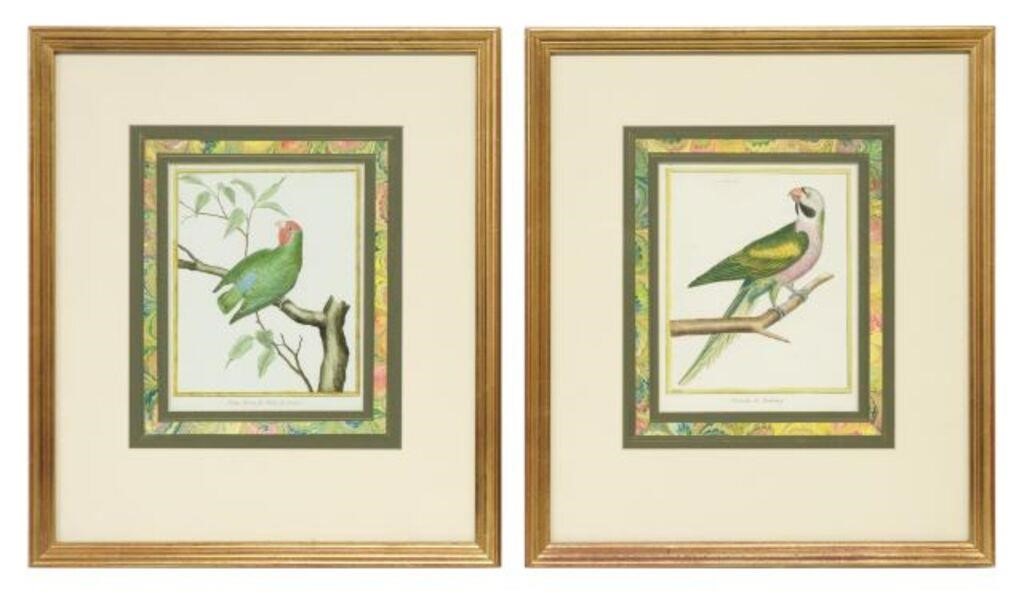 (2) FRENCH HAND-COLORED ENGRAVINGS