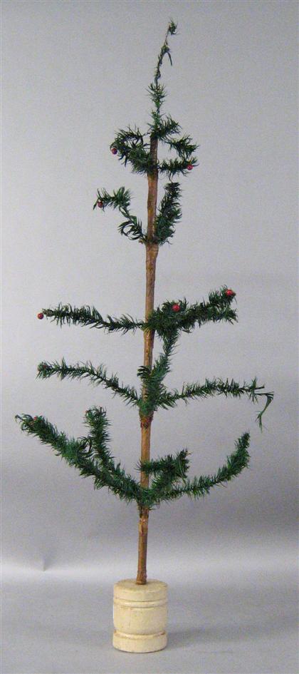 German feather tree    late 19th