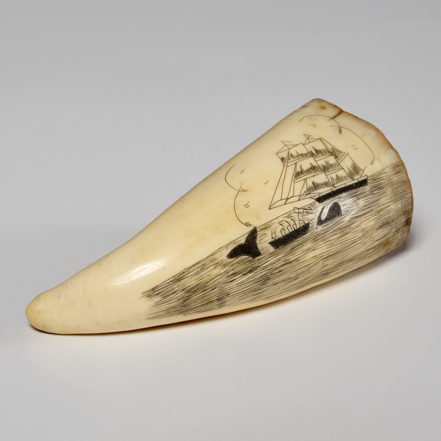 SCRIMSHAW TOOTH WITH WHALING SCENE 2fb407
