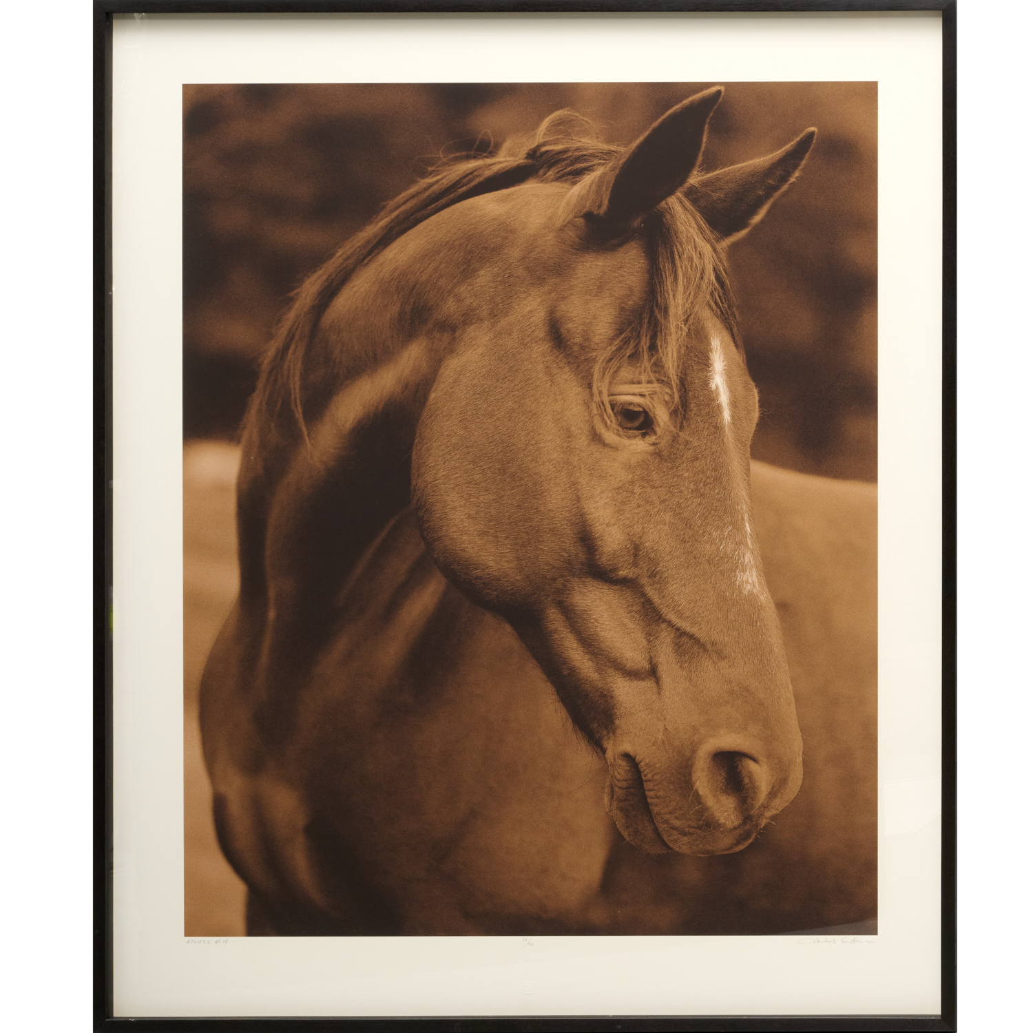 MICHAEL EASTMAN LARGE EQUESTRIAN 2fbc23