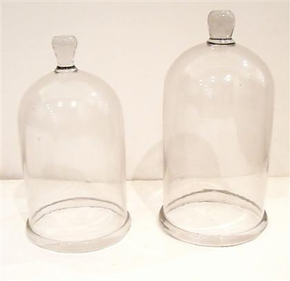 Two glass bell jars    19th century