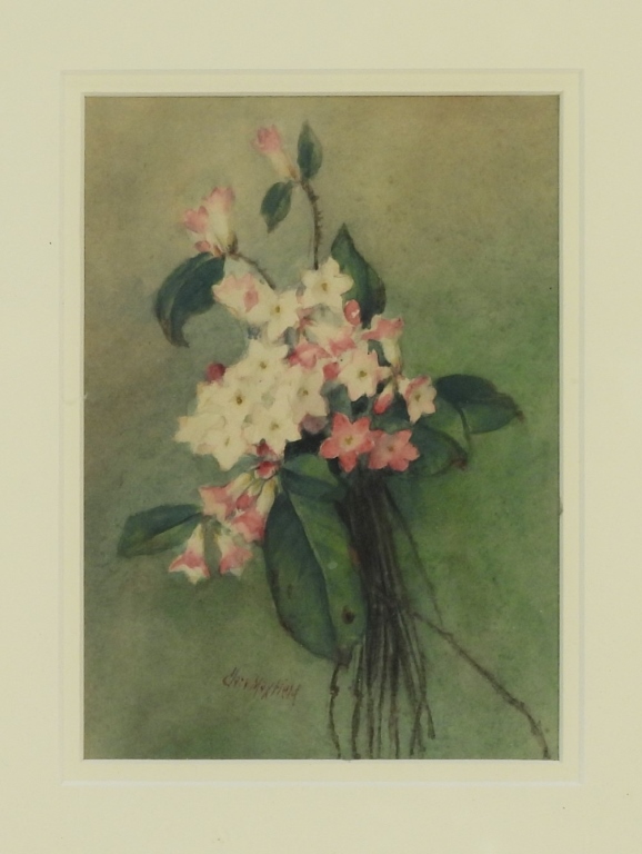 CLARA MAXFIELD BOTANICAL STILL 2f9ea8