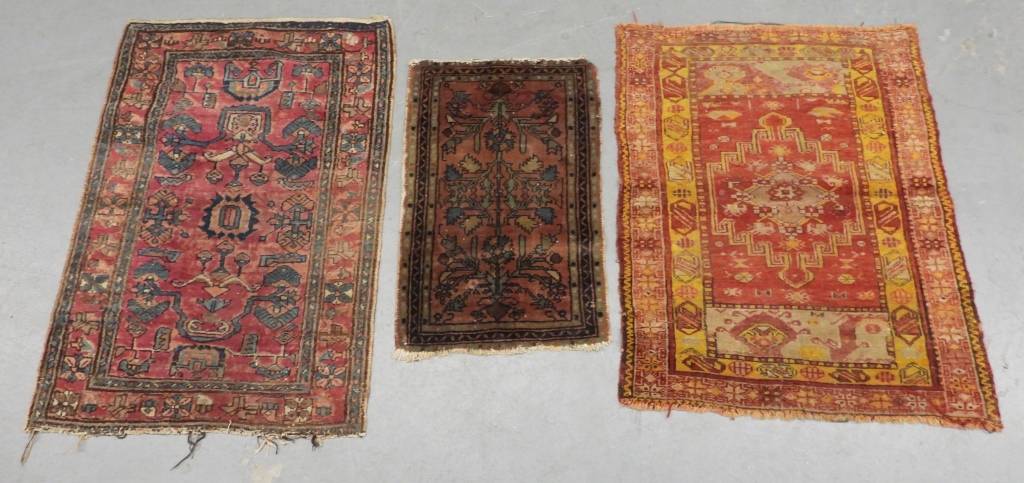 3PC MIDDLE EASTERN BOTANICAL RUGS