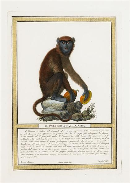 Six hand colored engravings of 4c366