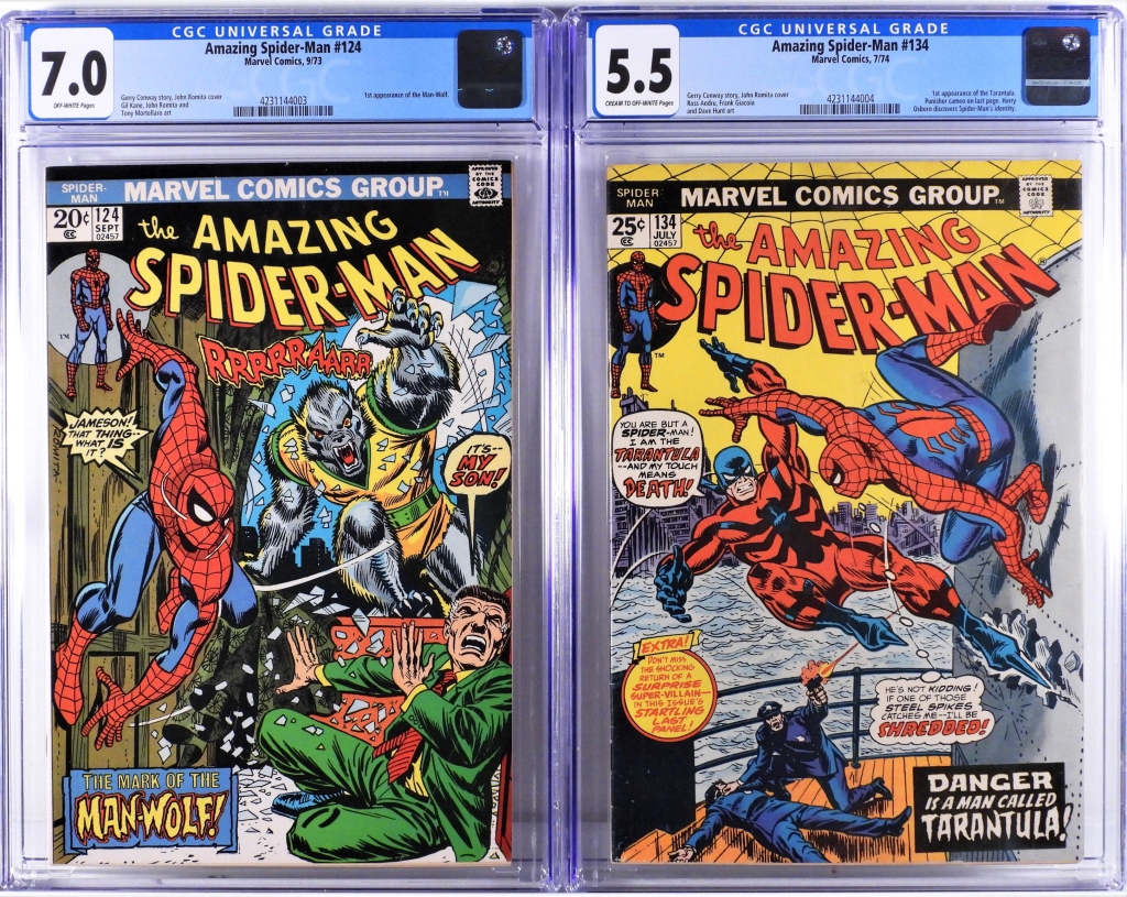 2PC MARVEL COMICS AMAZING SPIDER-MAN