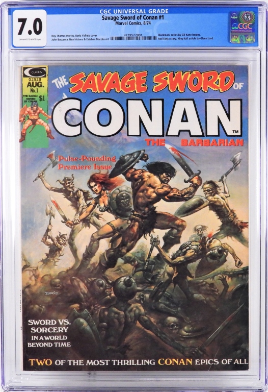 MARVEL COMICS SAVAGE SWORD OF CONAN 2fa394