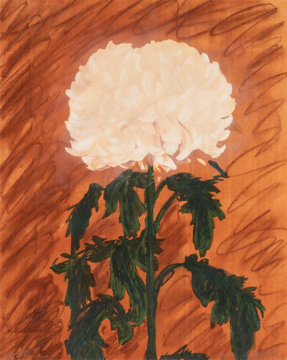 BETTY HAHN, CUT FLOWER, 1979Betty