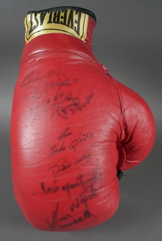 MULTI SIGNED BOXING GLOVESigned 2fdd3e