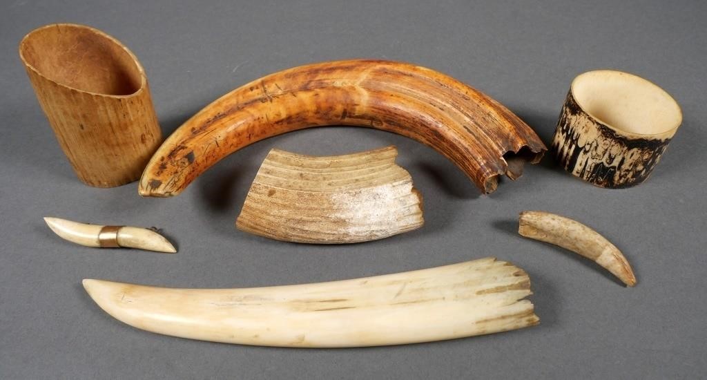 SEVERAL PIECES OF IVORY, ELEPHANT BOAR
