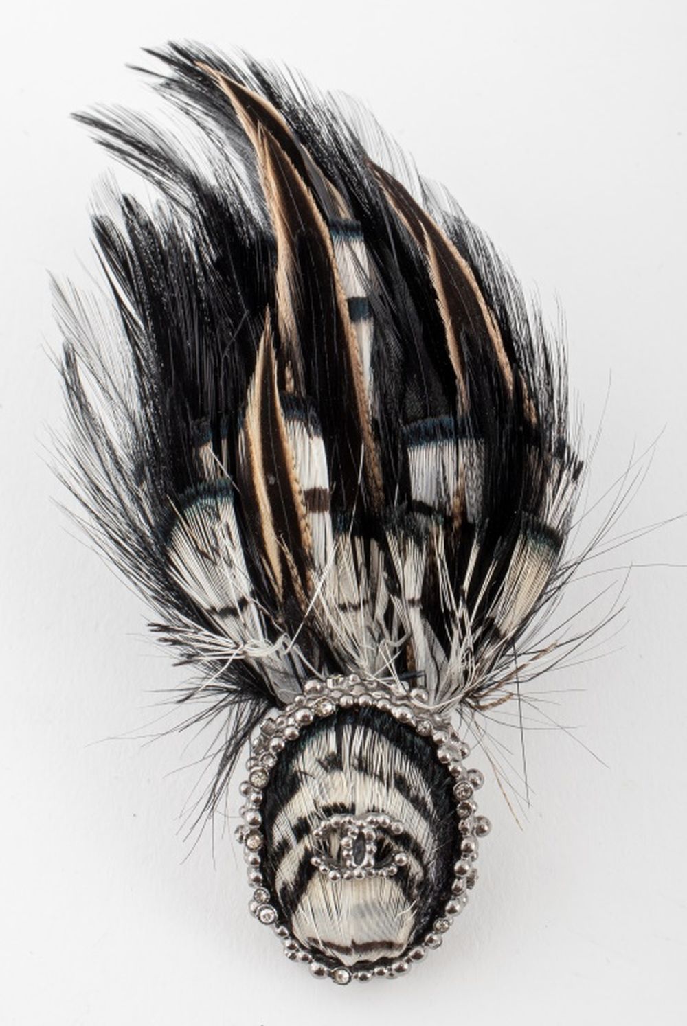 CHANEL RUNWAY FEATHER MOUNTED BROOCH  2fc87f