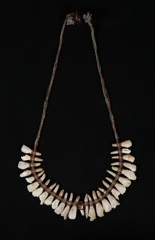 NATIVE AMERICAN HORSE TOOTH NECKLACE30"