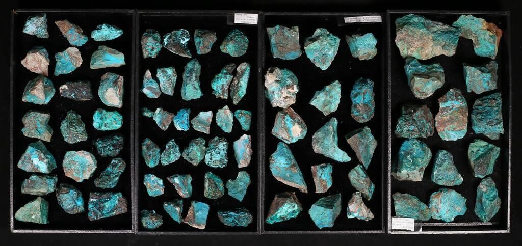 PHOENIX STONE CHYSOCOLLA TURQUOISE