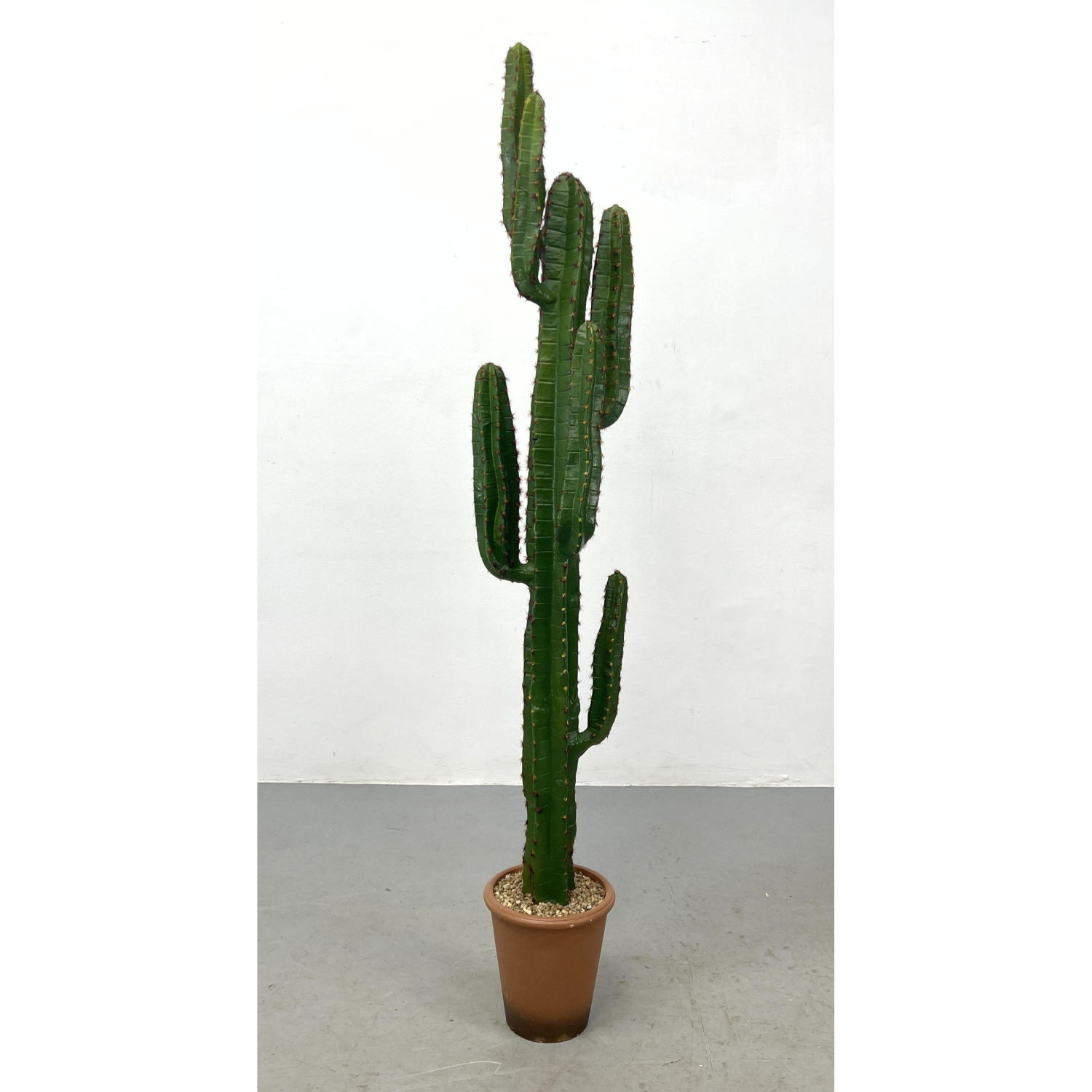 Tall Faux Cactus Sculpture Plastic 2ff039