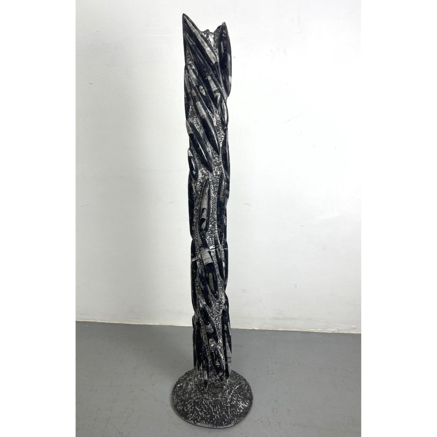 Large Orthoceras Floor Sculpture  2ff821