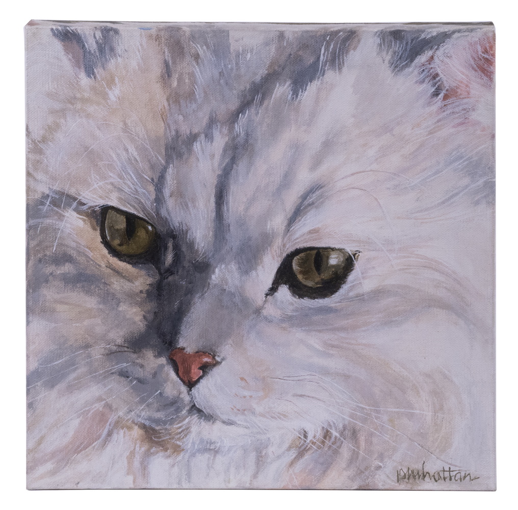 CONTEMPORARY CAT PORTRAIT BY PATRICIA
