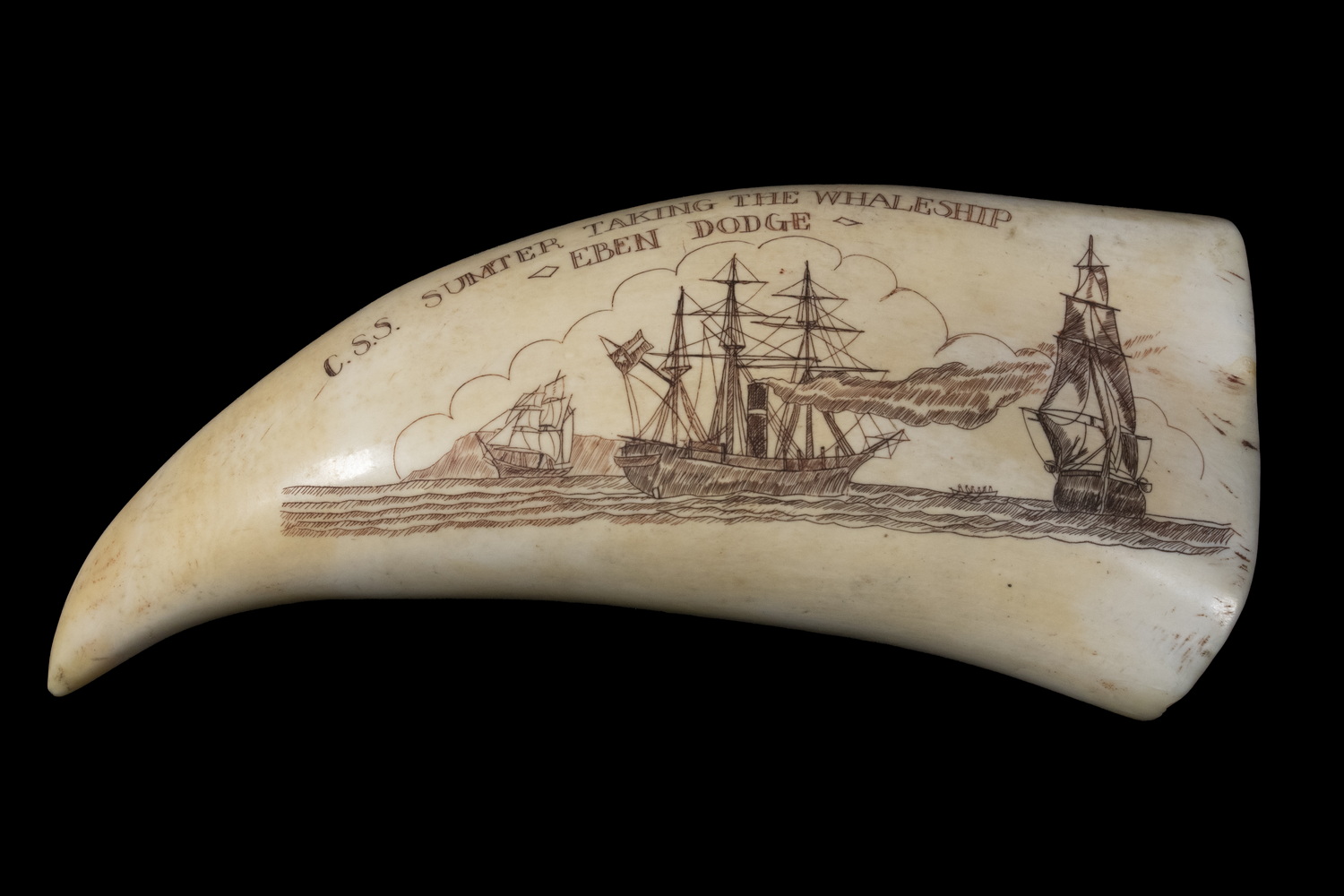 SCRIMSHAW WHALE S TOOTH Engraved 30223e