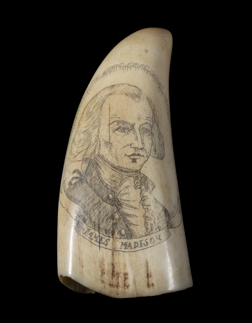 SCRIMSHAW WHALE S TOOTH Whale s 30225e