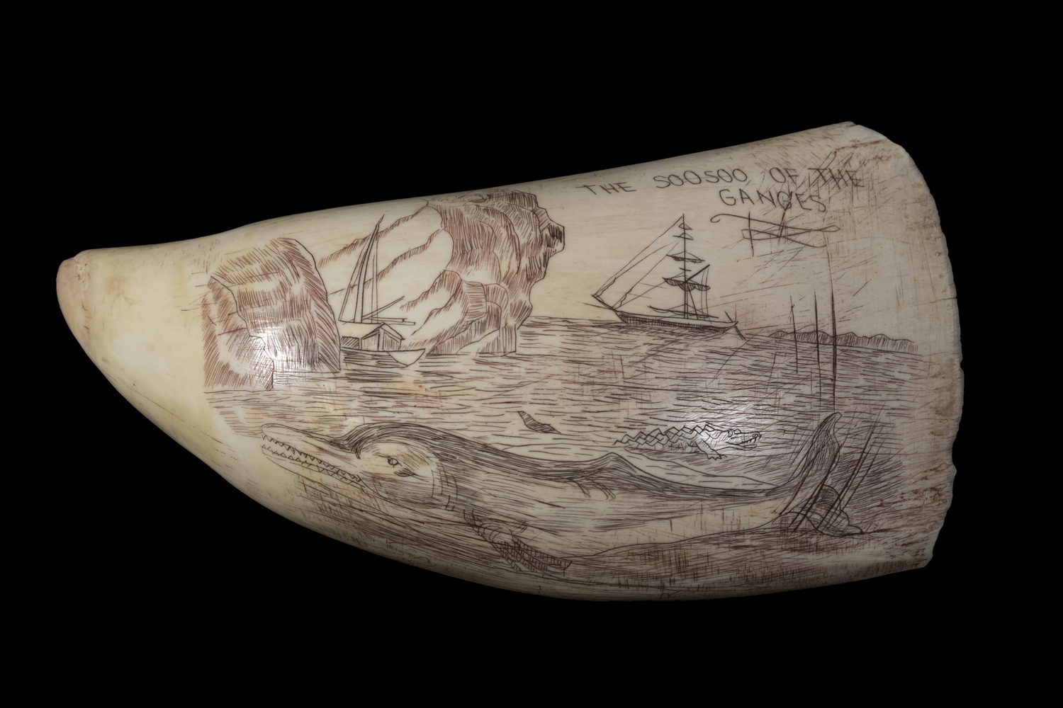 SCRIMSHAW WHALE S TOOTH Engraved 30225a