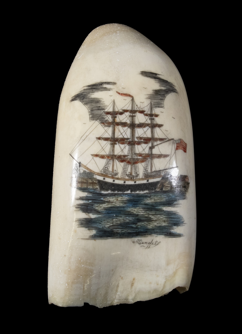 SCRIMSHAW WHALE S TOOTH SIGNED 302265