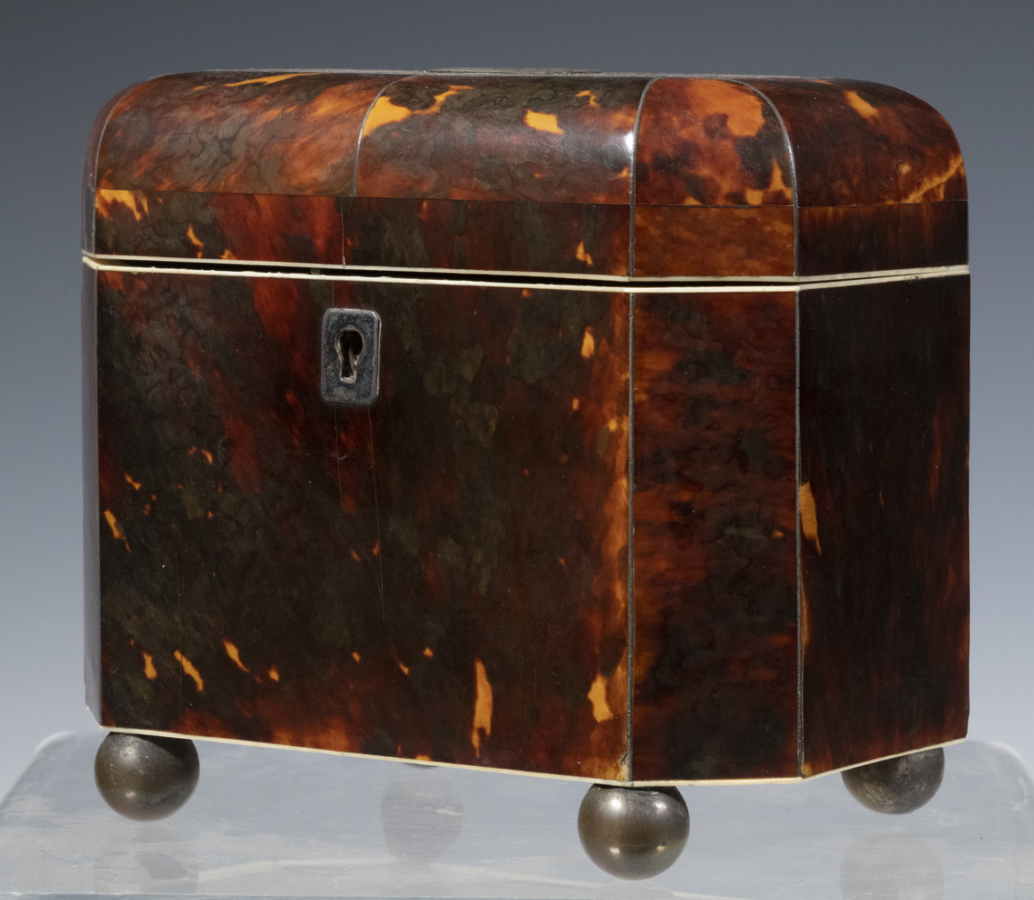 TORTOISESHELL TEA CADDY Early 19th 3022f3