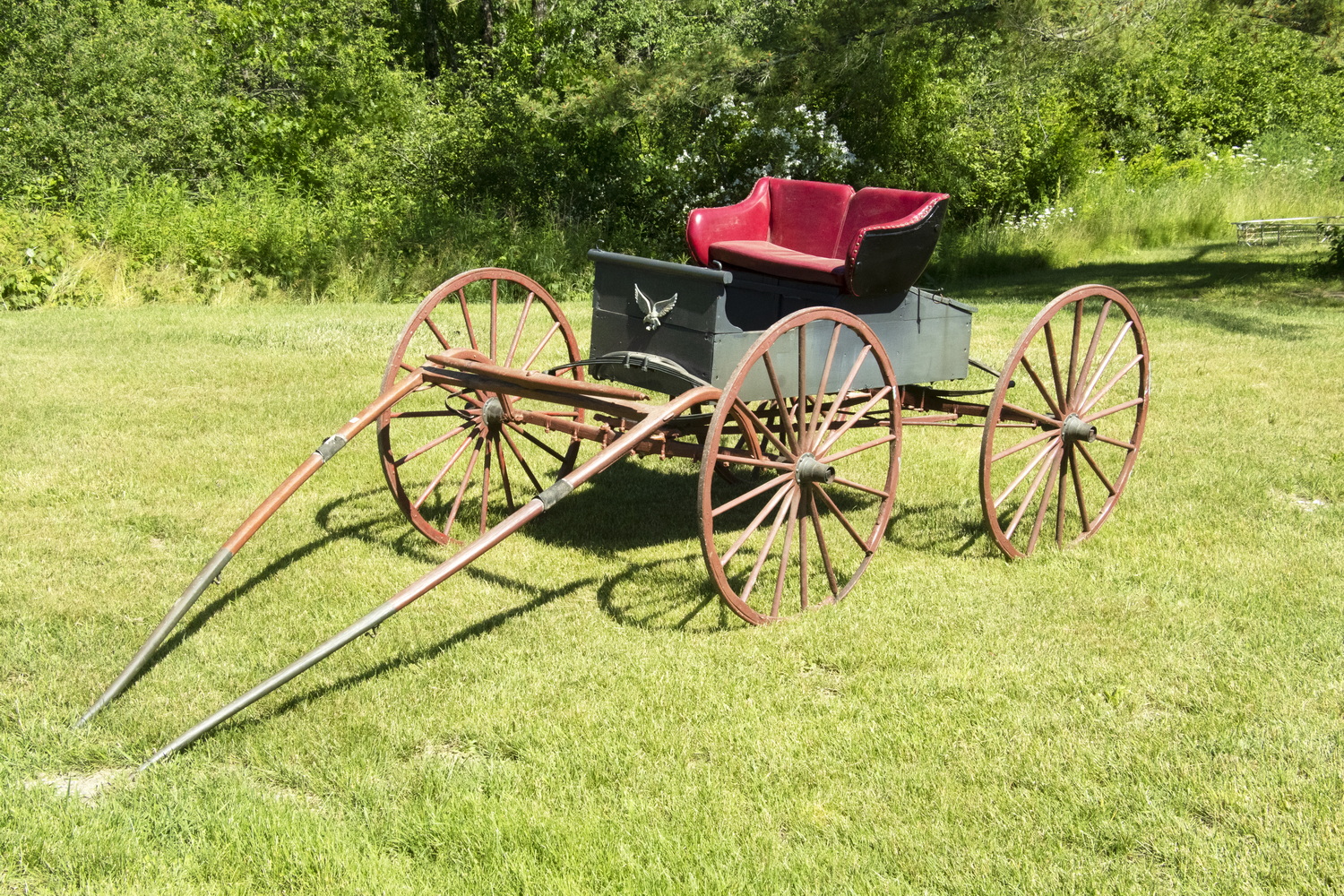 HORSE DRAWN BUGGY CARRIAGE 19th