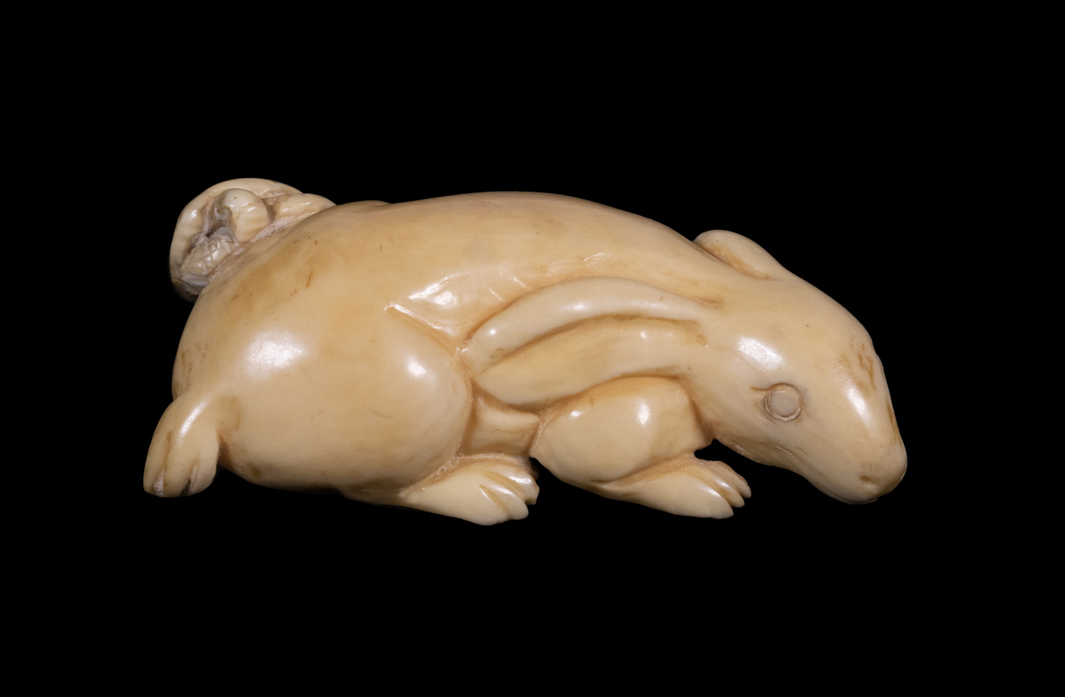 19TH C. IVORY NETSUKE Turtle climbing