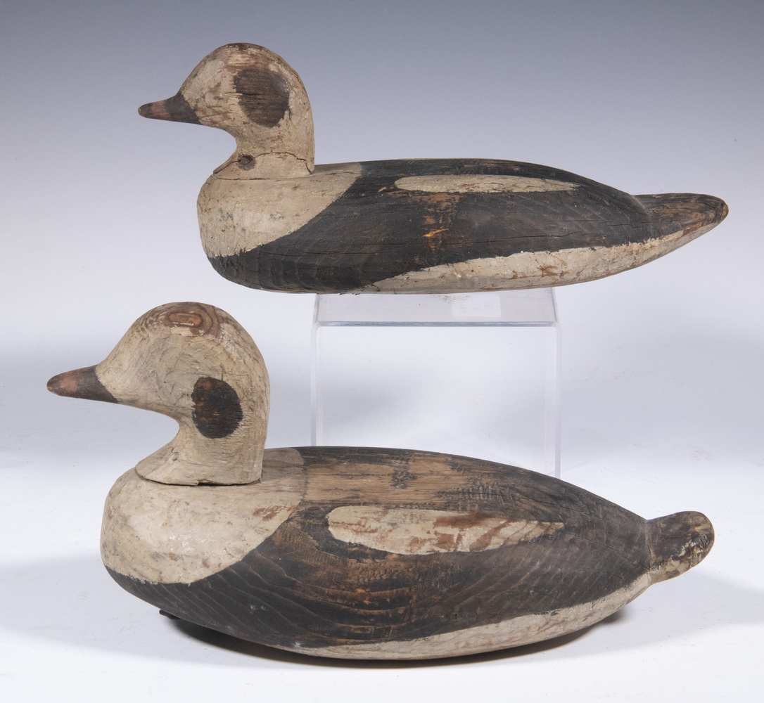 PR OF EARLY 20TH C. WORKING DUCK