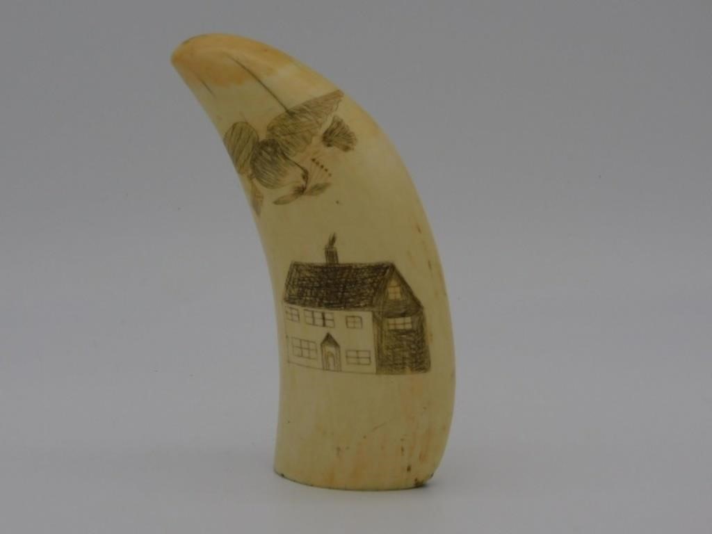 SCRIMSHAW WHALE S TOOTH MID 19TH 3031e1