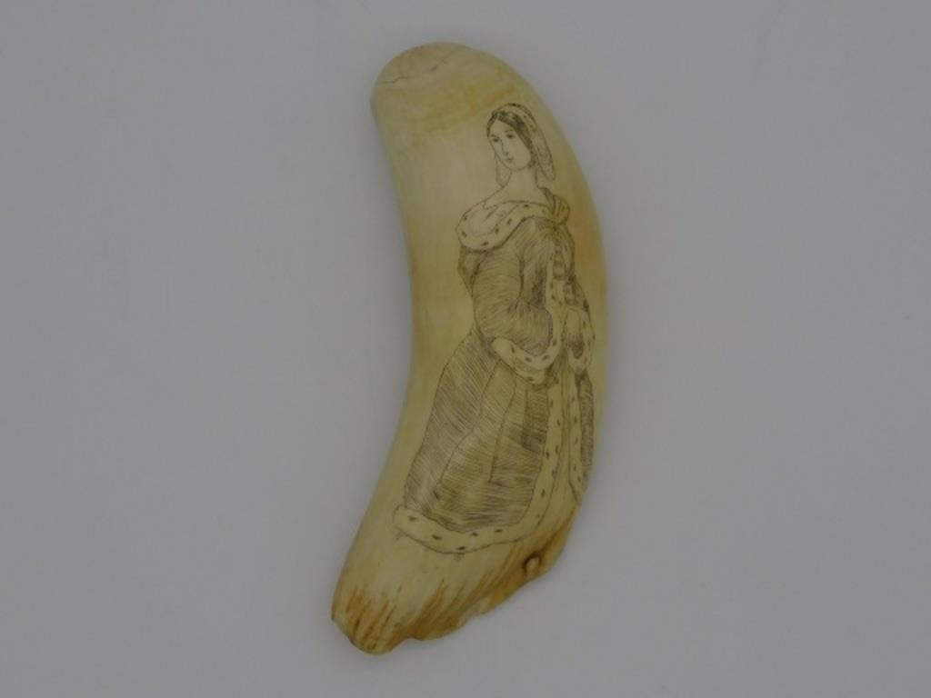 LARGE SCRIMSHAWED WHALES TOOTH, MID-19TH