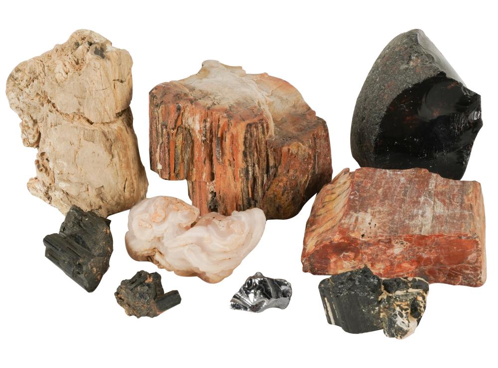 GROUP OF PETRIFIED WOOD, FOSSILS,