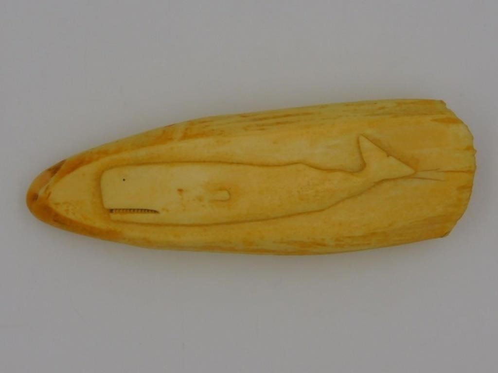 (2) SCRIMSHAW WHALE'S TEETH, TO