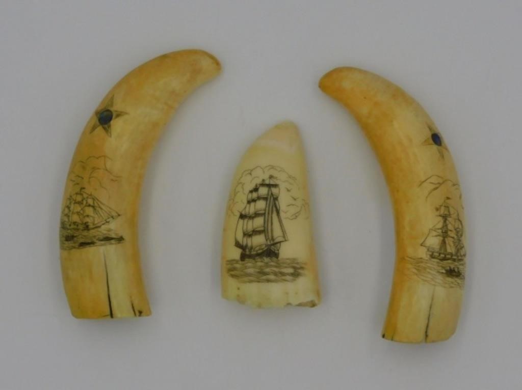 SCRIMSHAW WHALES TEETH. EARLY 20TH