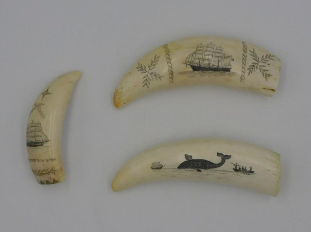 (3) SCRIMSHAWED WHALES TEETH. 20TH