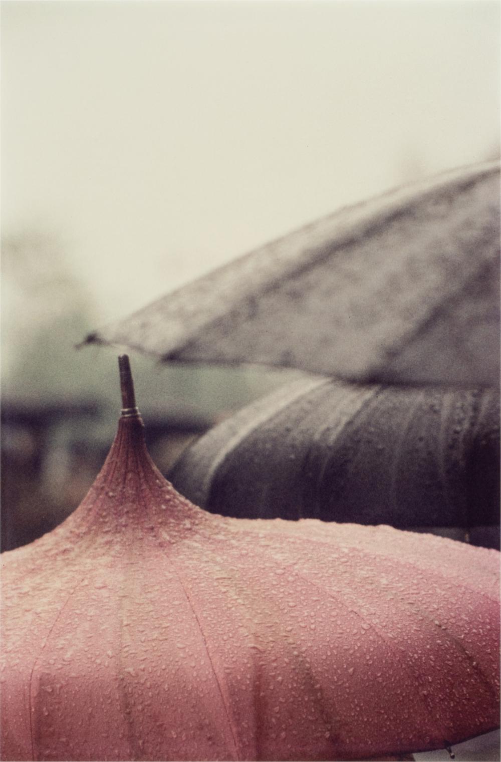 SAUL LEITER 1923 2013 PINK UMBRELLA 30379a