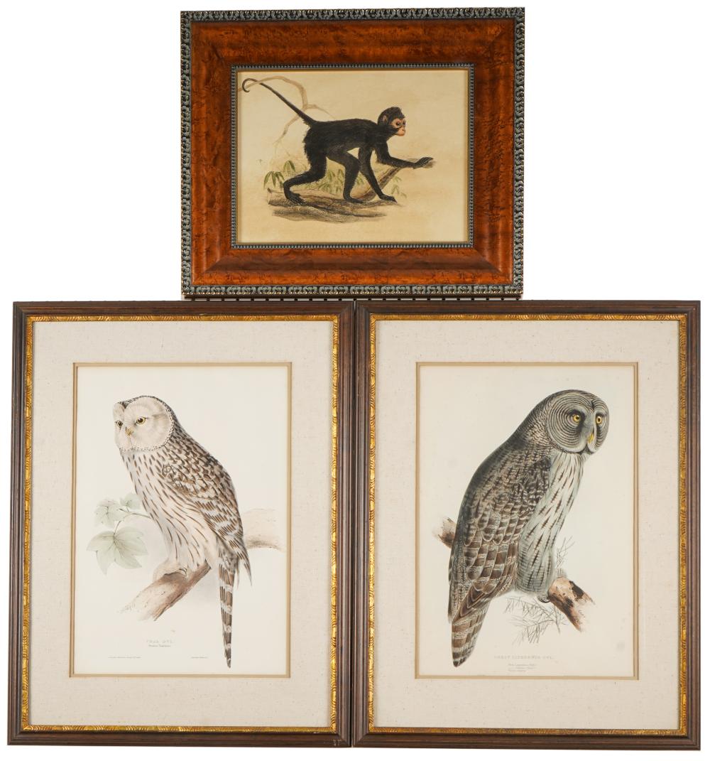 GROUP OF THREE ANTIQUE FRAMED PRINTScomprising
