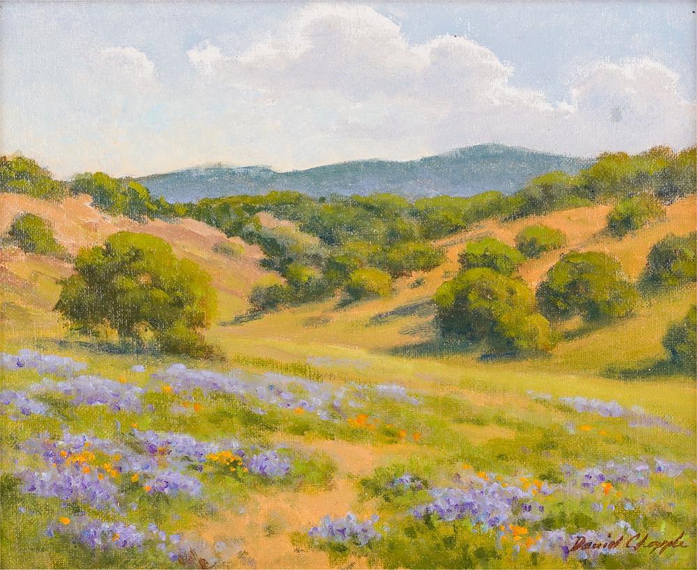 DAVID CHAPPLE (CALIFORNIA B. 1947):