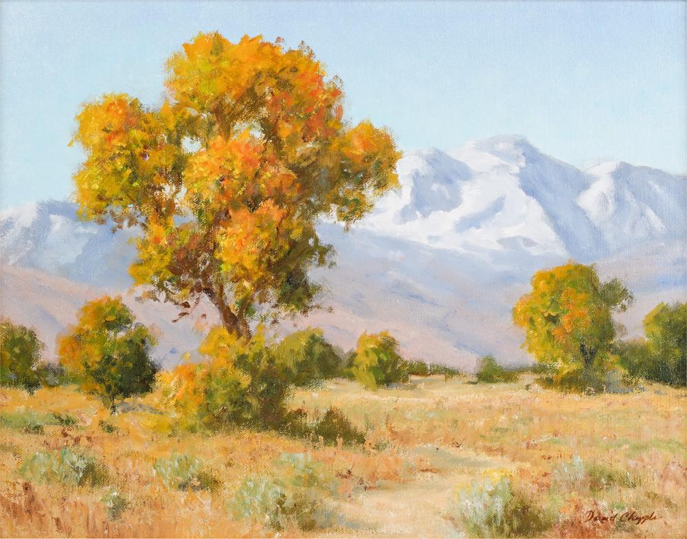 DAVID CHAPPLE (CALIFORNIA B. 1947):