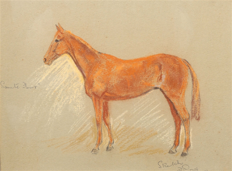 Pastel S. Relch, Sainte Fleur horse