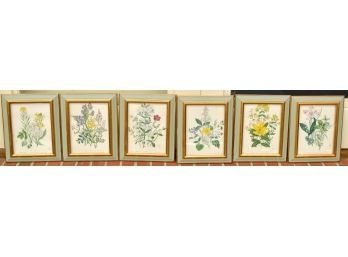 A matched set of six antique colored