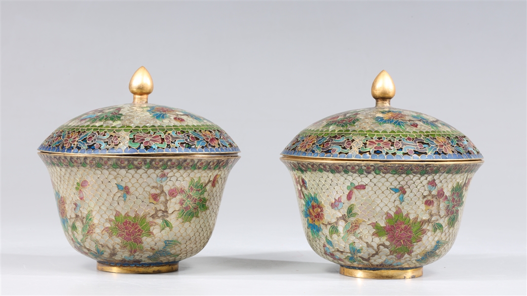 Pair of glass cloisonn covered 30424a