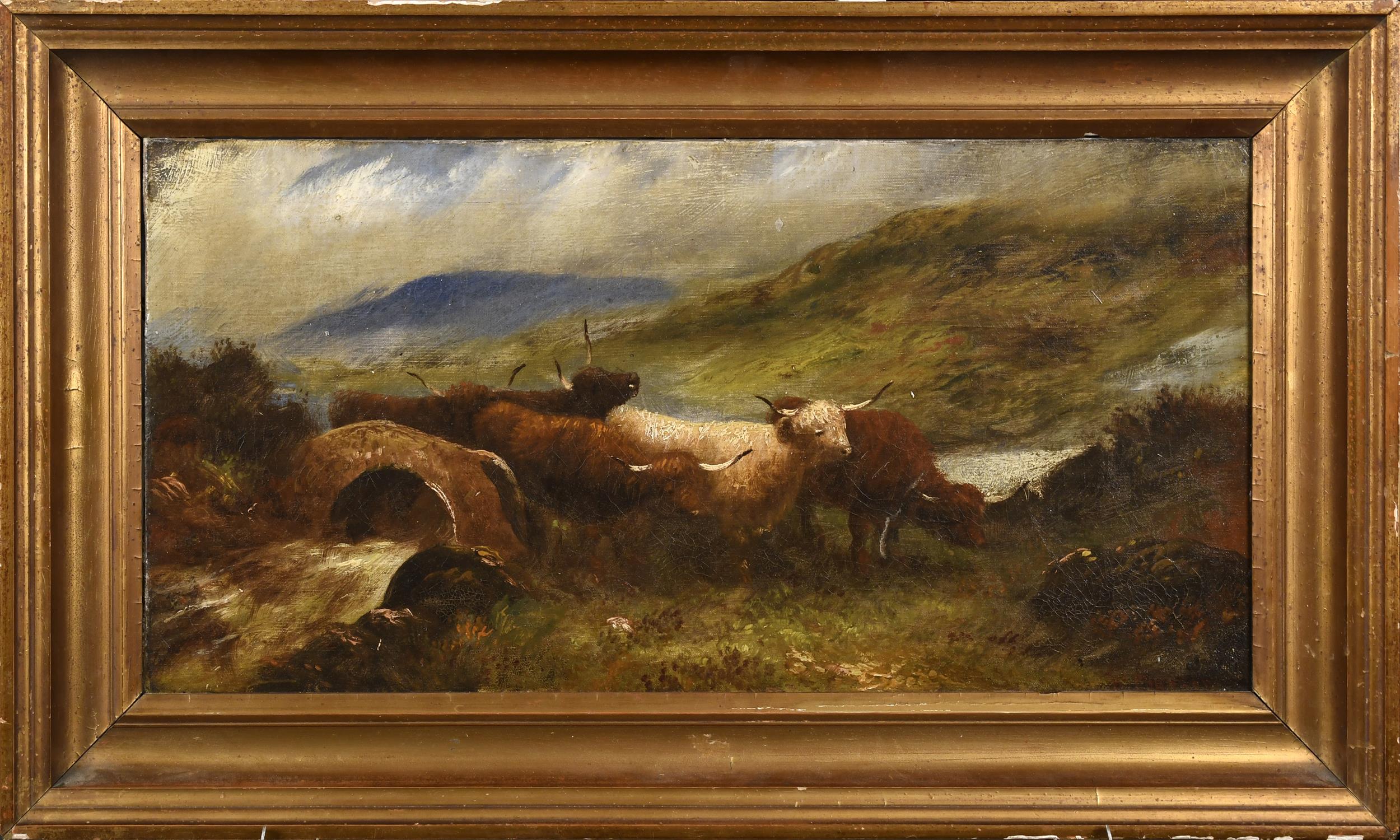 W. PHERSON O/C, HIGHLAND CATTLE. 19th